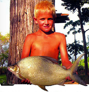 3106_African Fisherman Magazine_Chessa_Distichodus schenga.jpg